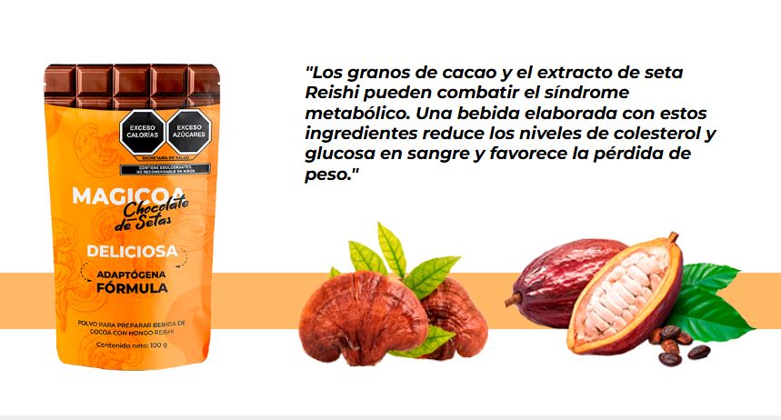 Magicoa chocolate de setas Mexico